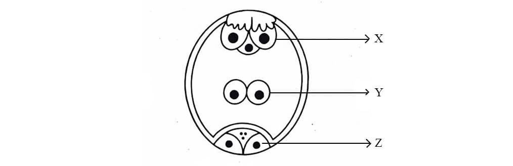 Class 12 Semester 3 Biology Question Paper with Solution PDF 2025-26