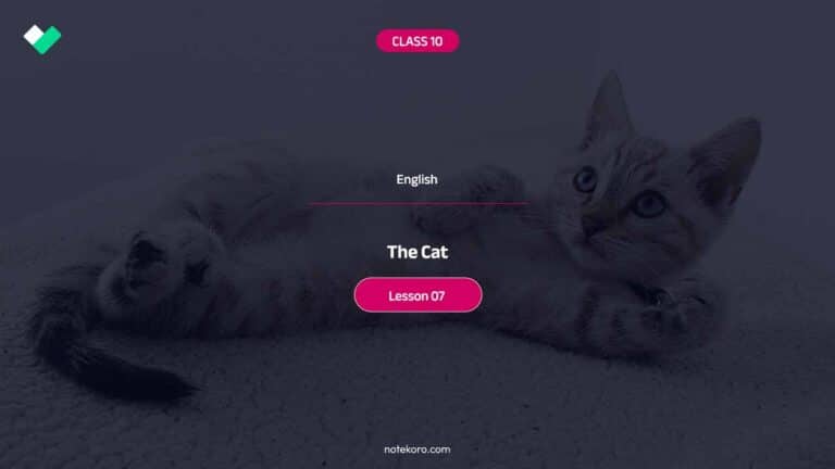 Class 10 English Lesson 07 The Cat Comprehension Exercise Question Answer