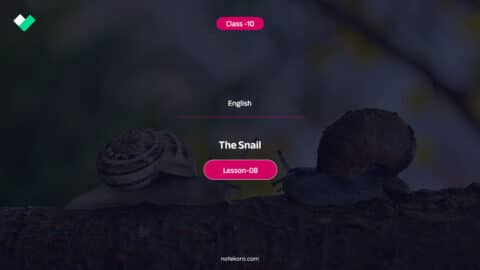Class 10 English Lesson 08 The Snail Comprehension Exercise Question Answer