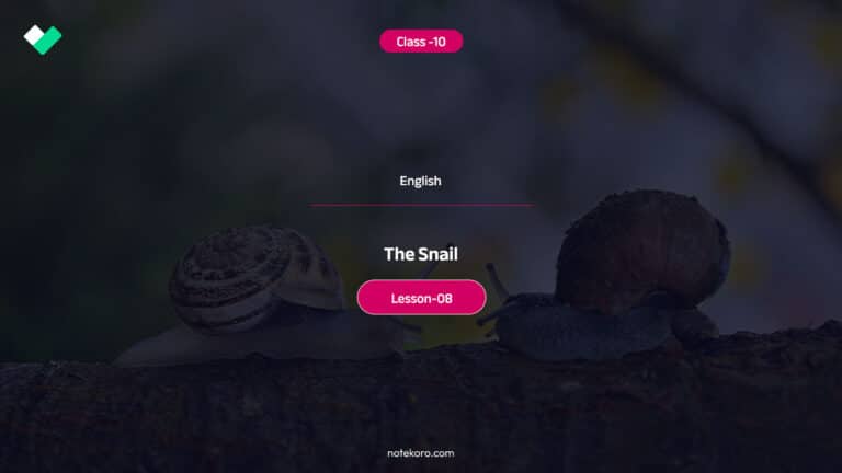 Class 10 English Lesson 08 The Snail Comprehension Exercise Question Answer