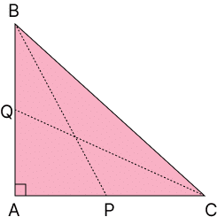 Class 10 Mathematics 2026 Suggestion PDF with Solution 4